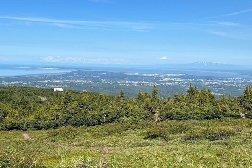 A view from the trail.