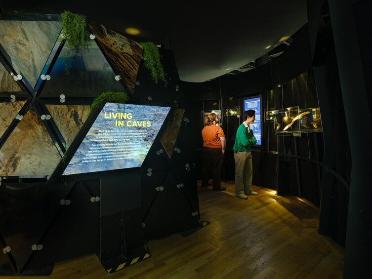 American Museum of Natural History Tickets