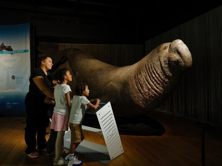 American Museum of Natural History Tickets