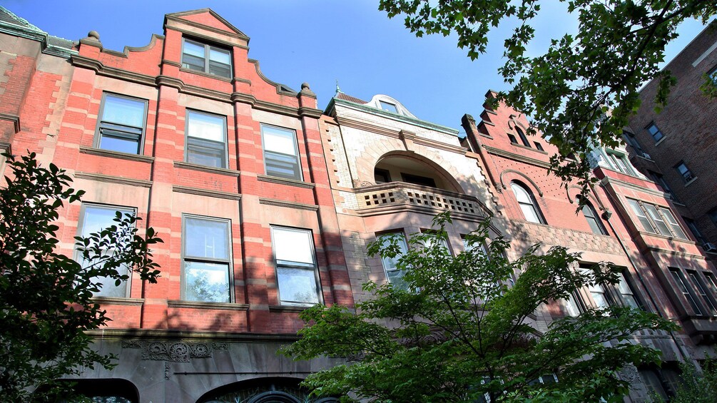 Harlem buildings in New York