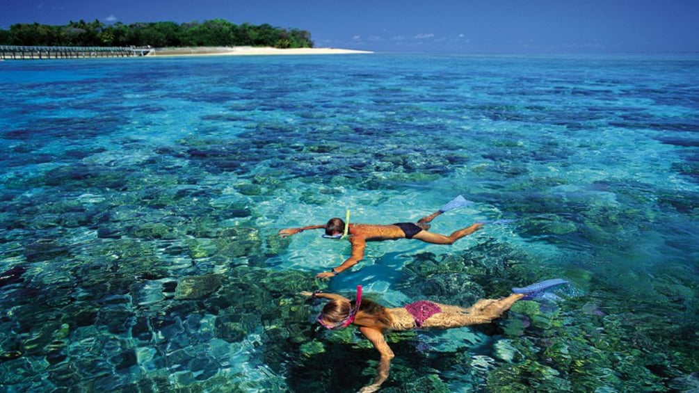 Couple snorkeling among abundant coral reefs and marine species at the Green Island Reef in Cairns