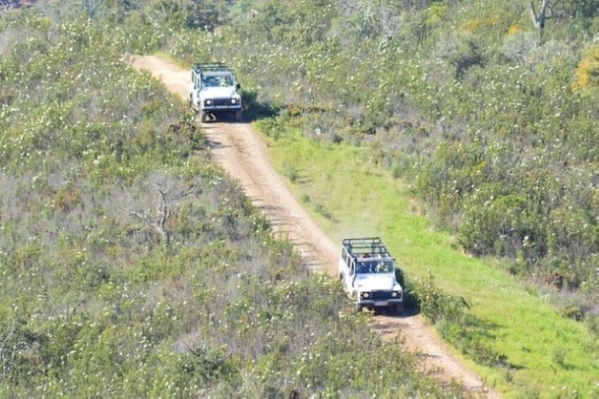 Jeep Safari 4X4 Algarve Expedition with Lunch Included