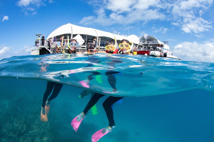 Great Adventures Green Island & Moore Reef Pontoon 