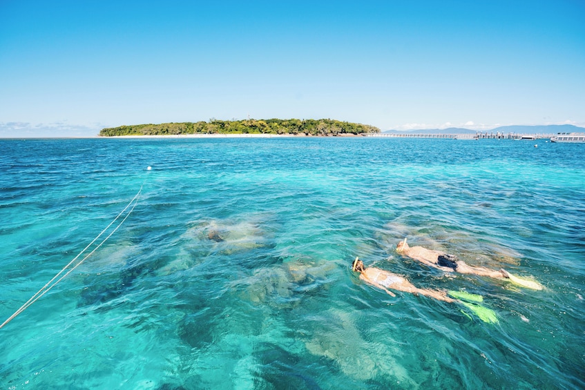 Great Adventures Green Island & Moore Reef Pontoon