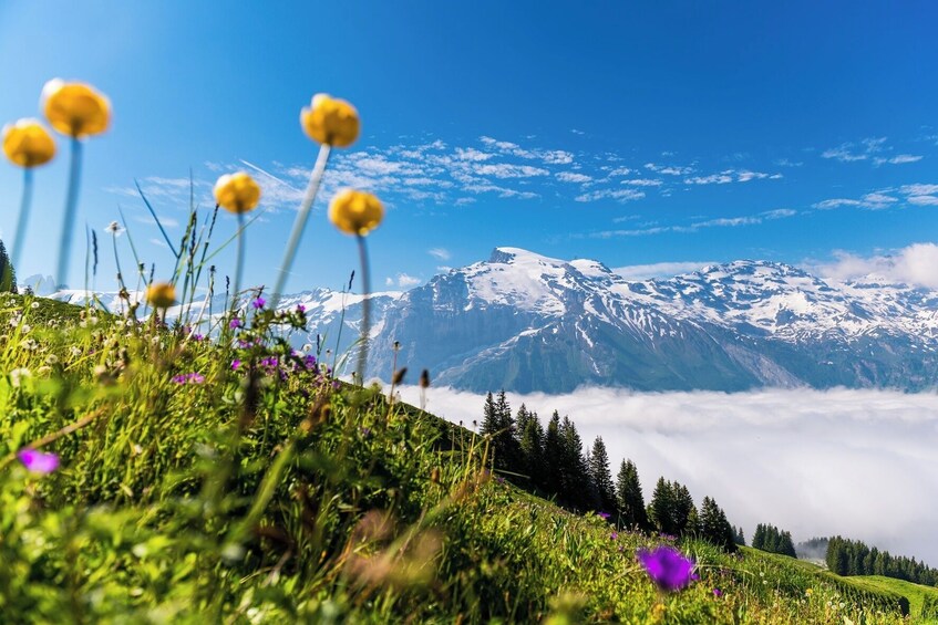Mount Titlis with Cable Car & Lucerne Day Trip from Zurich