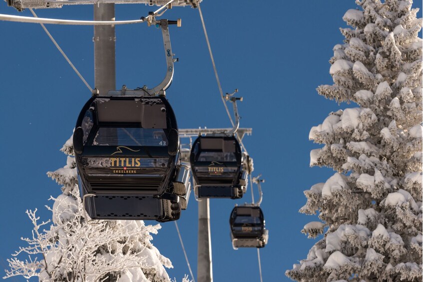 Mount Titlis with Cable Car & Lucerne Day Trip from Zurich