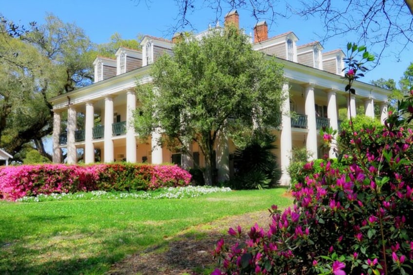 Plantation & Swamp Tour w/ Transportation from New Orleans