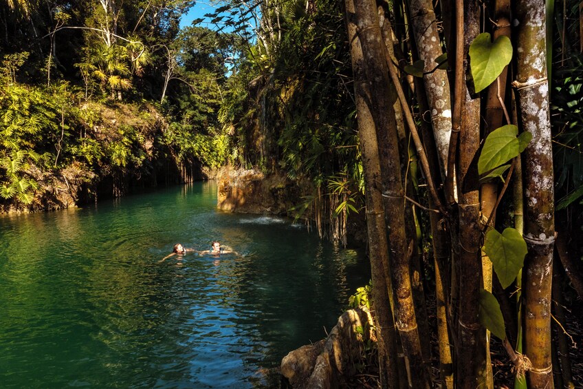 4-Cenotes One-Day-Tour by Xcaret