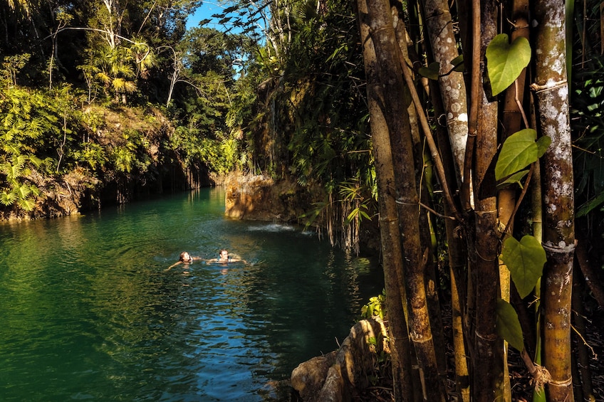 4-Cenotes One-Day-Tour by Xcaret