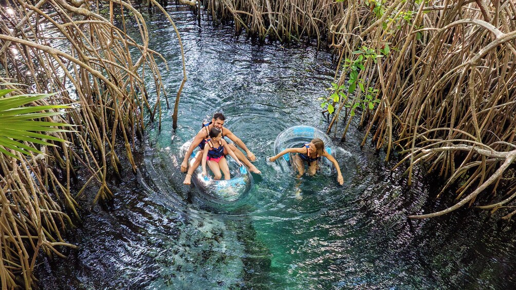Xel-Ha - A Natural Water Park Experience
