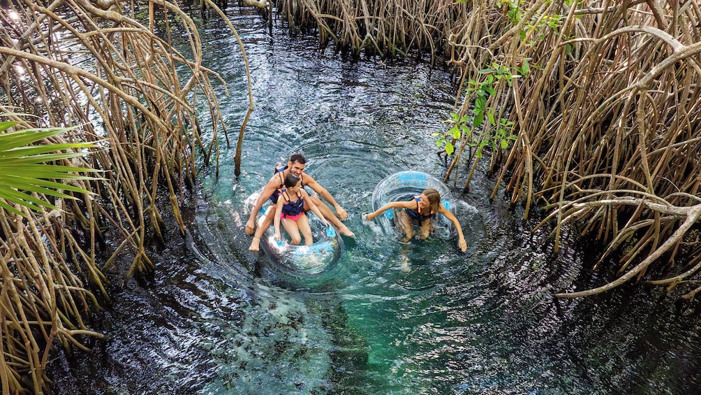 Xel-Ha - A Natural Water Park Experience