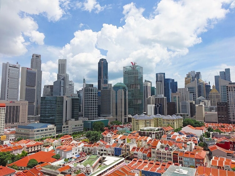 Private Singapore Customized Tour With Driver