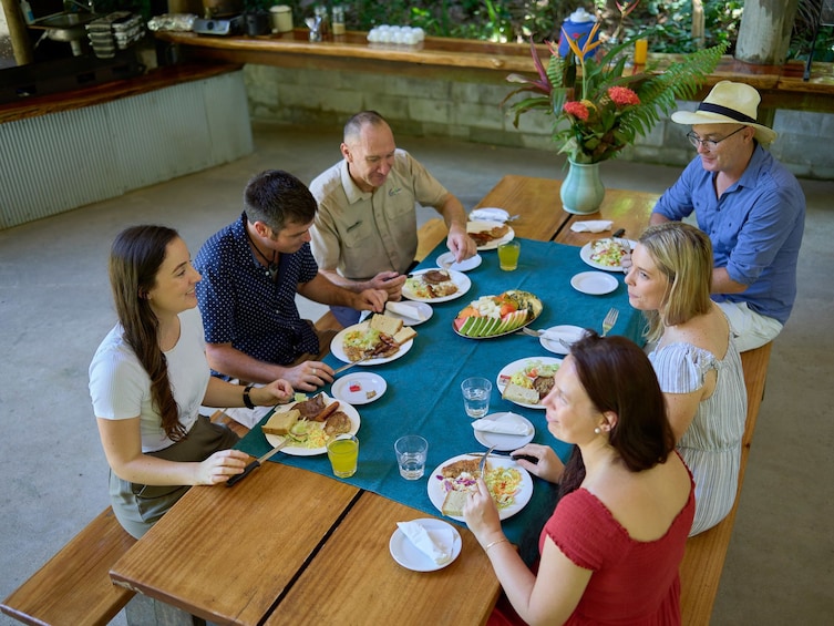 Daintree Rainforest & Cape Tribulation Day Tour 