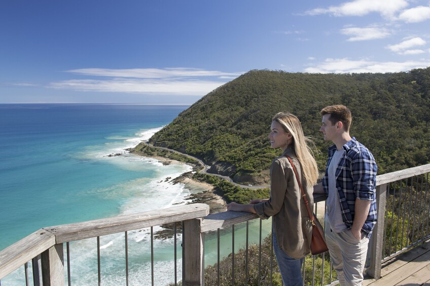 Great Ocean Road & 12 Apostles Small Group Day Tour 