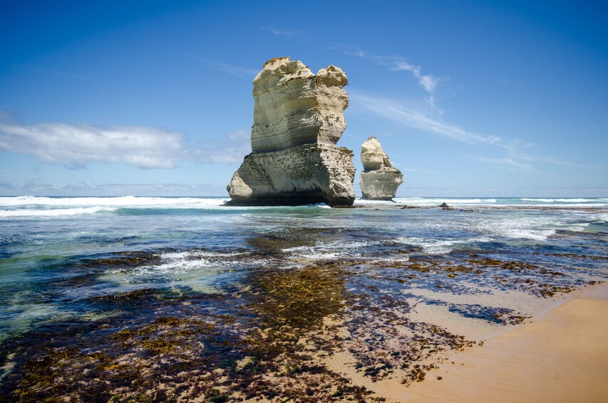 Great Ocean Road & 12 Apostles Small Group Day Tour 