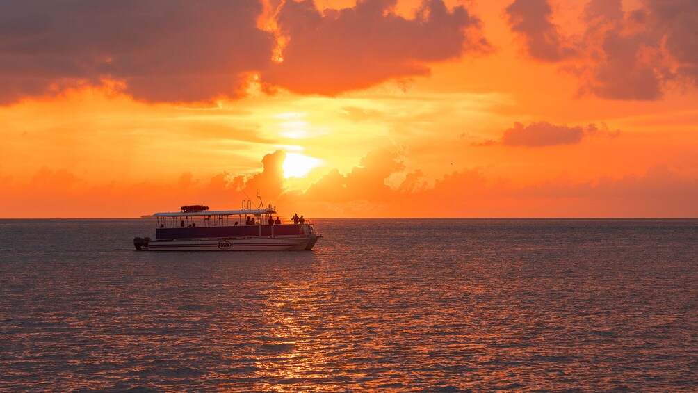 Dolphin Watch & Snorkeling Tour