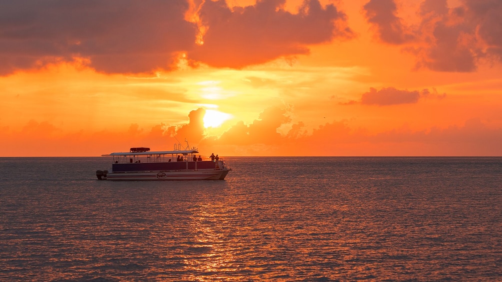 Dolphin Watch & Snorkeling Tour