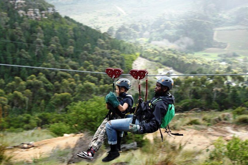 Zipline Cape Town - From Foot of Table Mountain Reserve