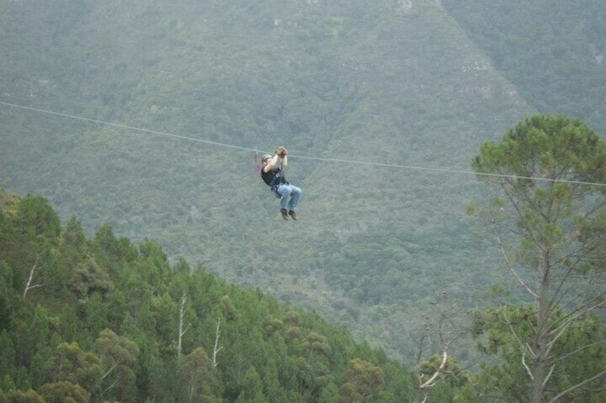 Zipline Cape Town - From Foot of Table Mountain Reserve