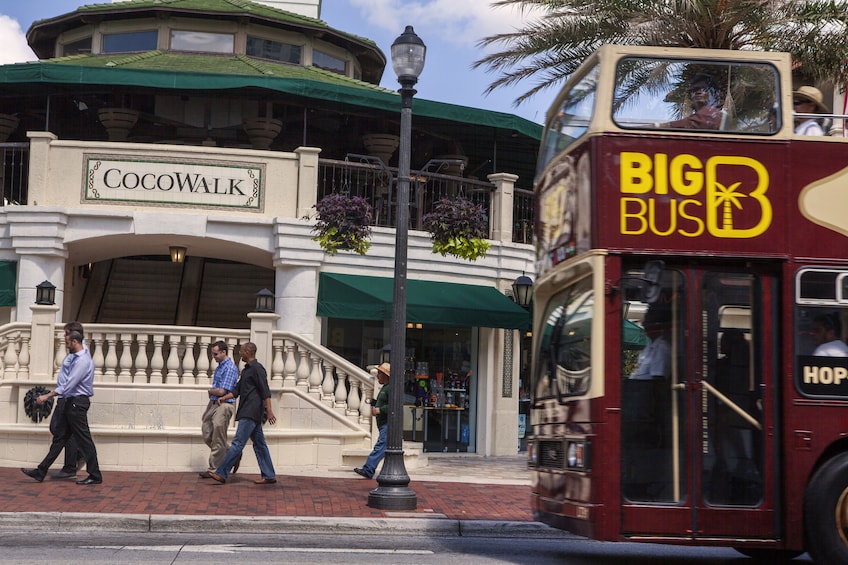 Miami Hop-On Hop-Off Bus Tour with Optional Everglades Tour