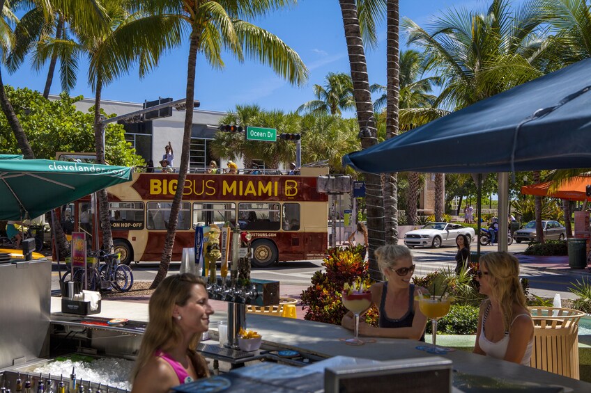 Miami Hop-On Hop-Off Bus Tour with Optional Everglades Tour