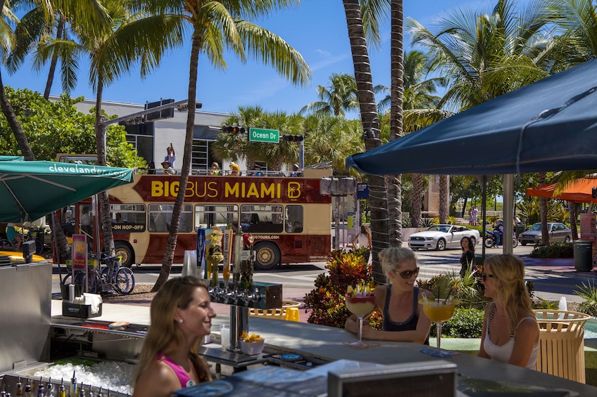 Miami Hop-On Hop-Off Bus Tour with Optional Everglades Tour