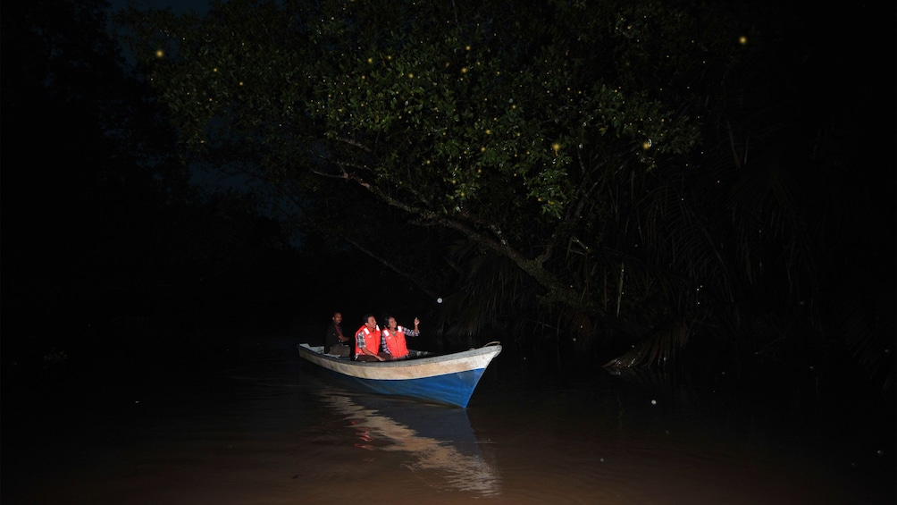 People in boat viewing fireflies in Kuala Lumpur