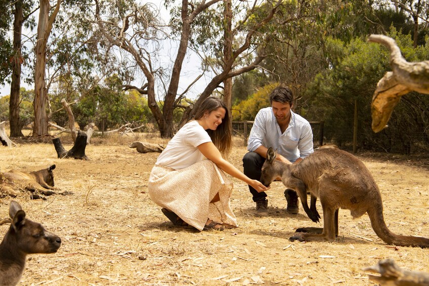Kangaroo Island Full-Day Tour from Adelaide with Return Ferry