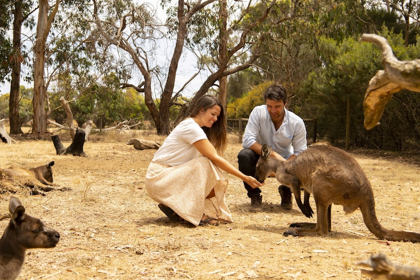 Kangaroo Island Full-Day Tour from Adelaide with Return Ferry