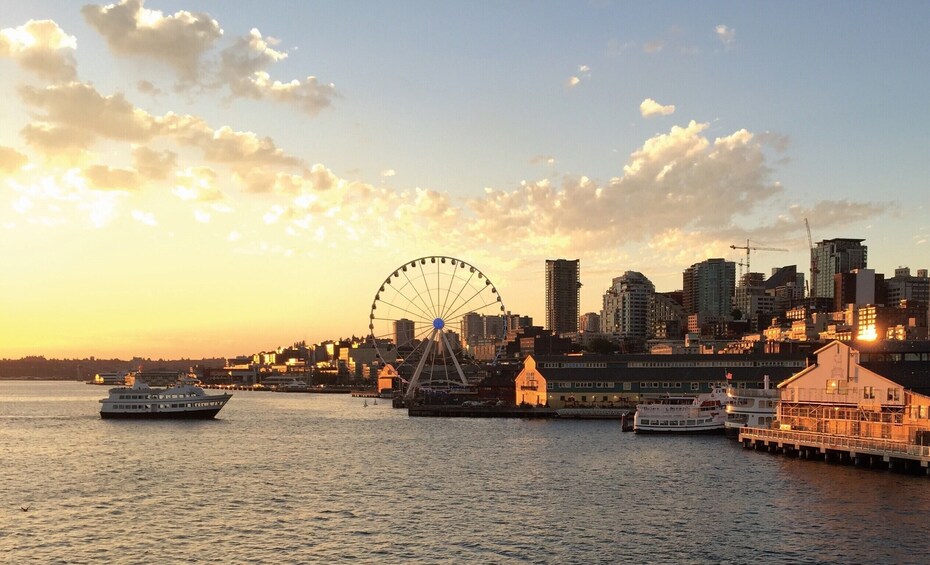Harbor Cruise of Elliott Bay & Seattle Skyline