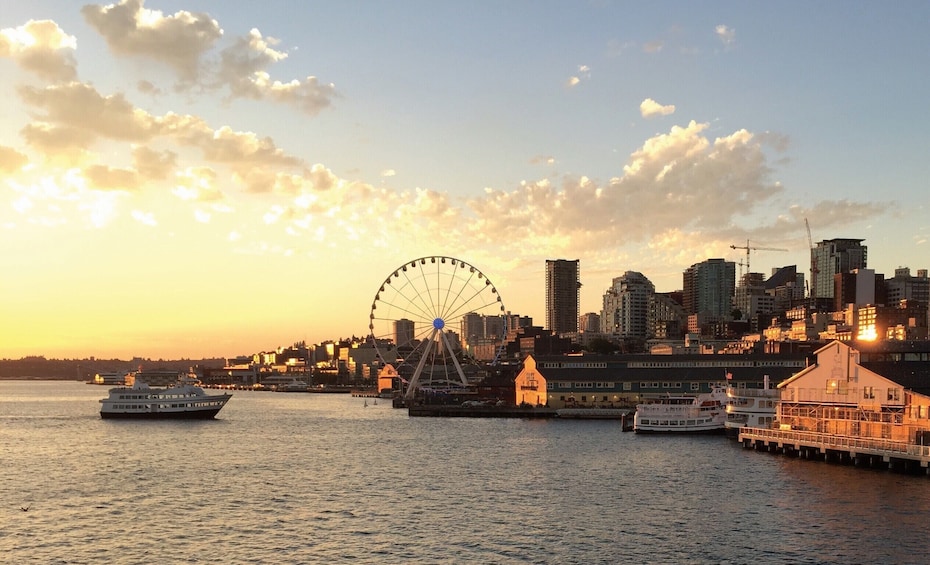 Harbor Cruise of Elliott Bay & Seattle Skyline