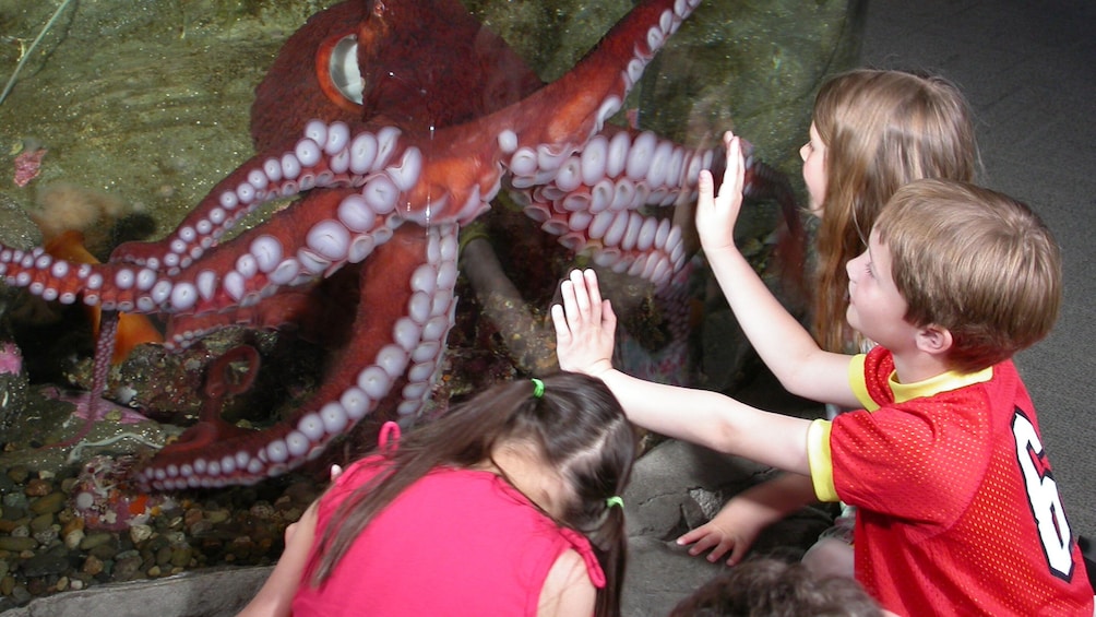 Seattle CityPASS: Admission to Top 5 Seattle Attractions 