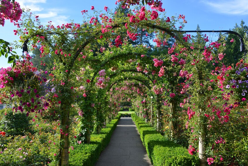 Vancouver to Victoria and Butchart Gardens Tour 