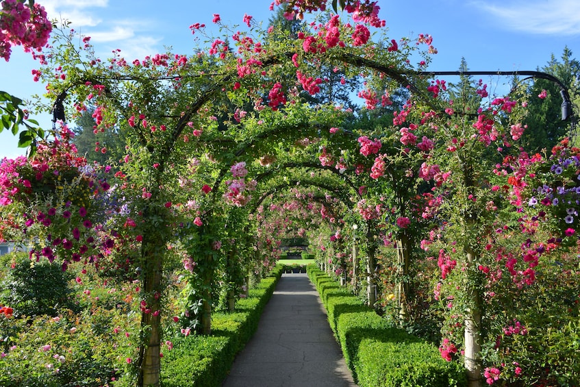 Vancouver to Victoria and Butchart Gardens Tour