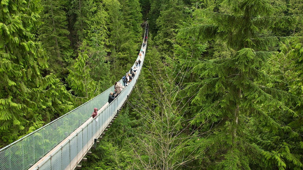 Capilano Suspension Bridge