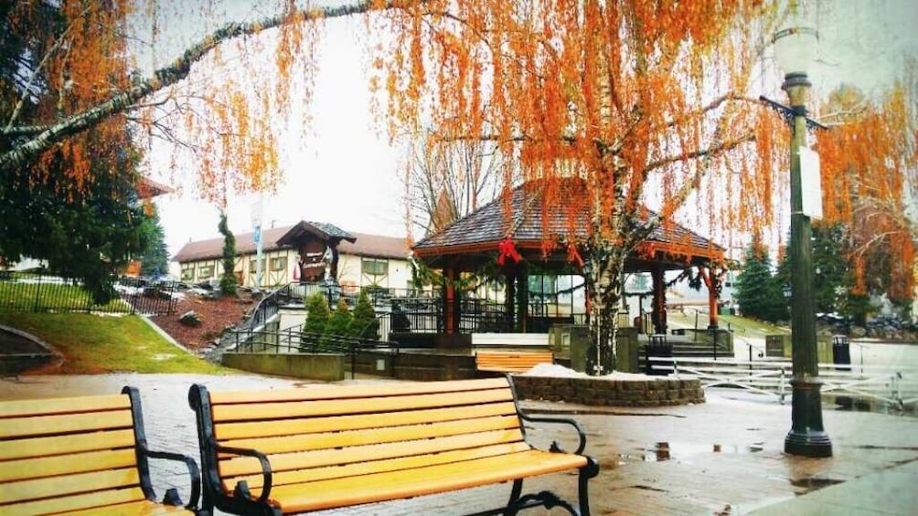 Seattle Fun Tour to Snoqualmie Falls+Leavenworth 