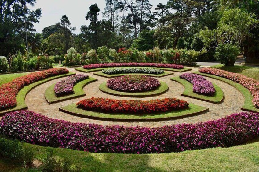 Royal Botanical Garden