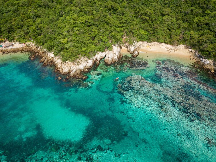 Shore Excursion Premium Family Snorkeling Experience