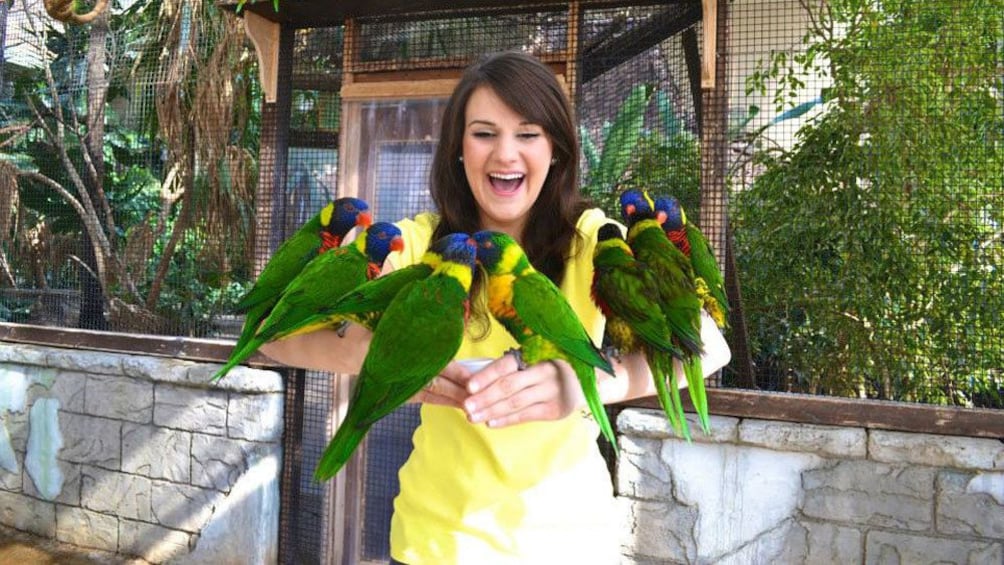 Holding a group of exotic birds in Niagara Falls