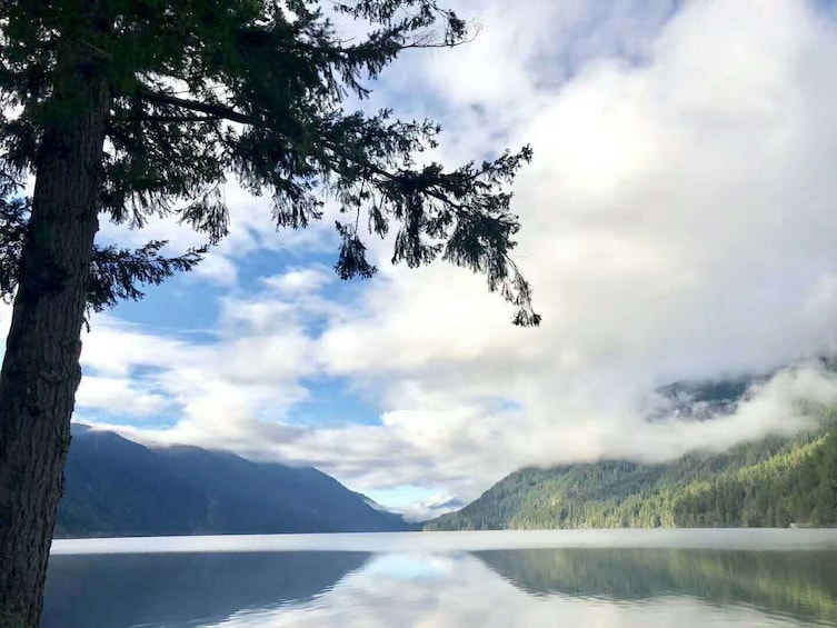 1-Day Olympic National Park Tour (Seattle Departure) SO1