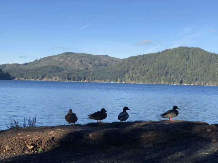 1-Day Olympic National Park Tour (Seattle Departure) SO1