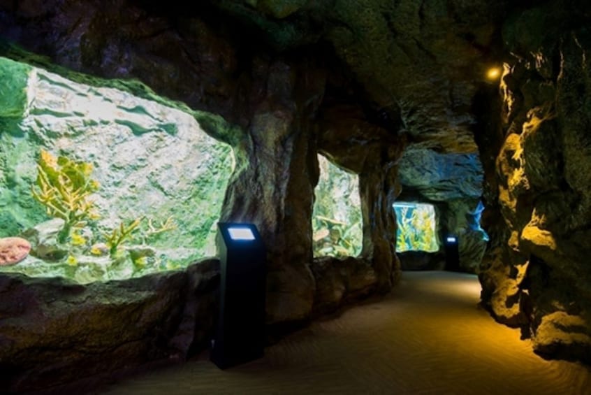 Pattaya Underwater World Admission Tickets