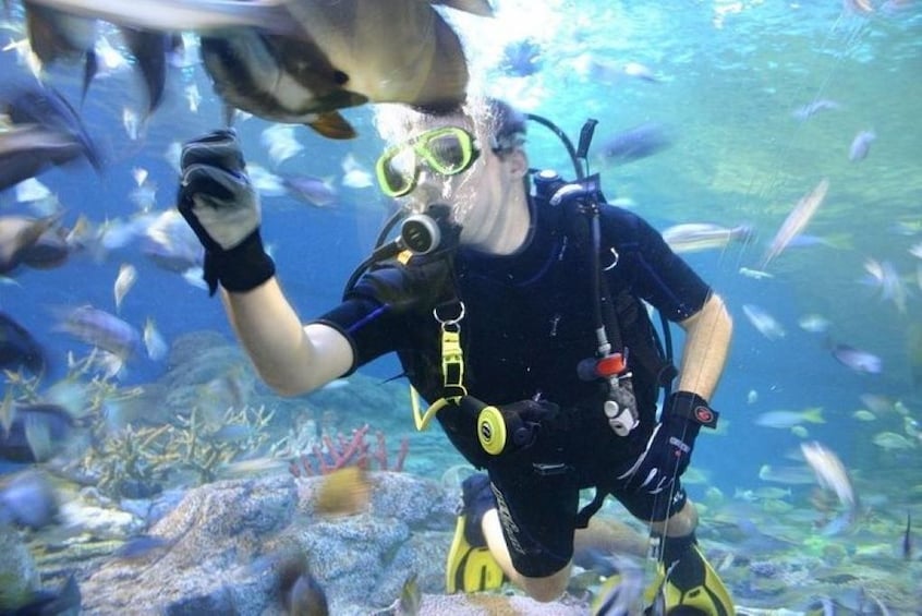 Pattaya Underwater World Admission Tickets