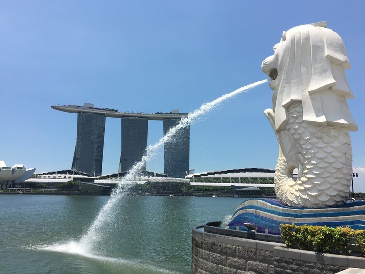 Singapore DUCKtours - Unique Land & Sea Adventure
