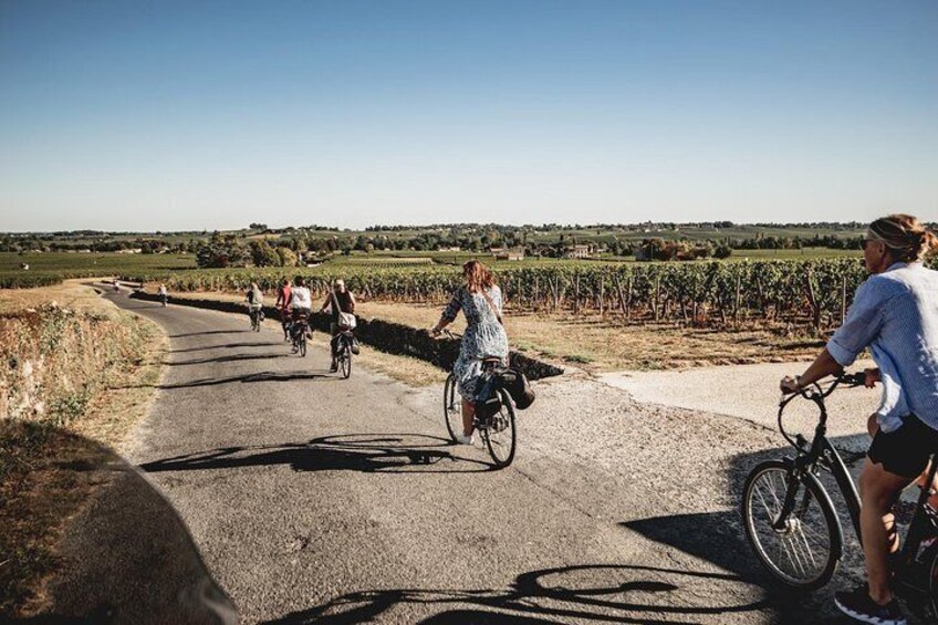 Saint-Emilion Electric Bike Day Tour with Wine Tastings & Lunch