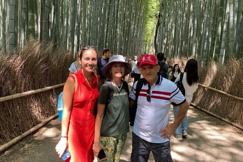 Kyoto Arashiyama & Sagano Bamboo Private Tour with Government-Licensed Guide