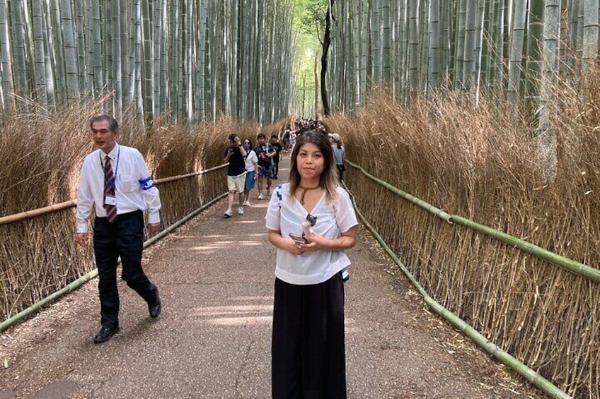 Kyoto Arashiyama & Sagano Bamboo Private Tour with Government-Licensed Guide
