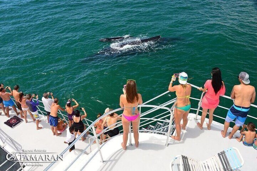 Catamaran Ocean King Manuel Antonio