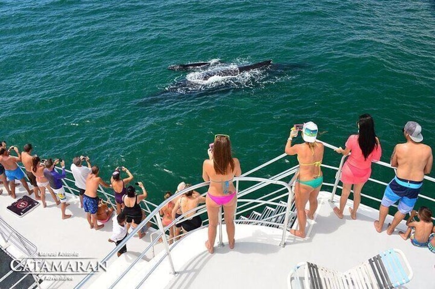 Catamaran Ocean King Manuel Antonio