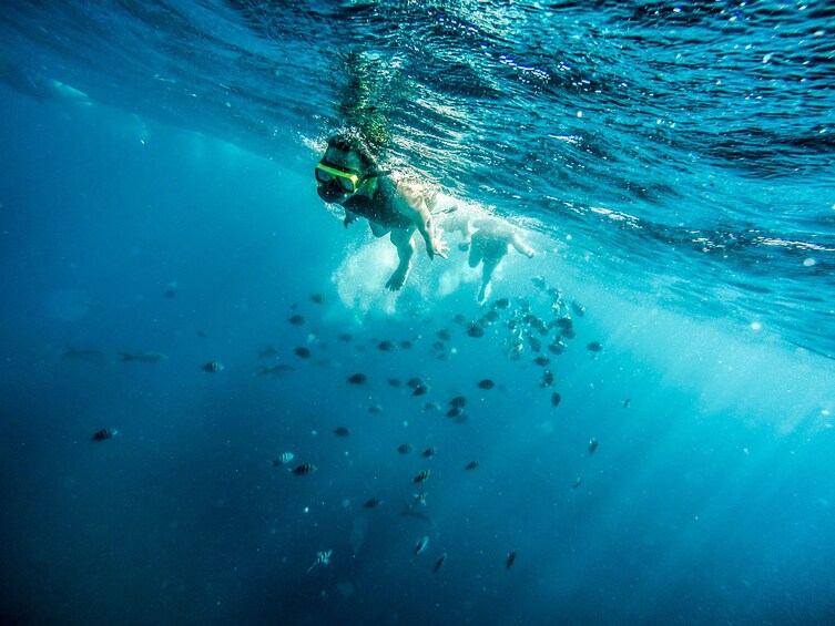 Palm Pleasure Snorkeling Adventure with Lunch & Open Bar
